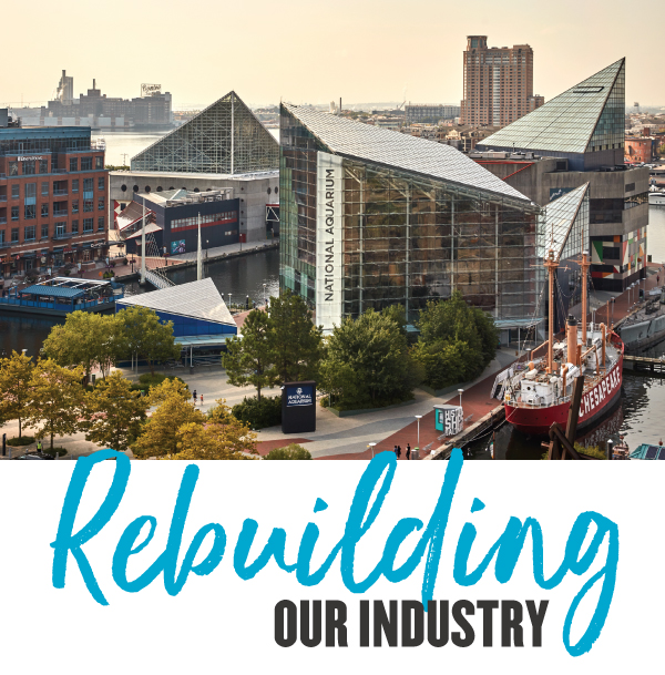 Baltimore Inner Harbor - Rebuilding Our Industry 